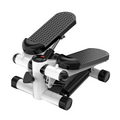 Mini Stepper with LCD Monitor